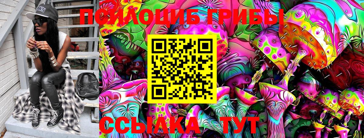 Псилоцибиновые грибы ЛСД  Севастополь 