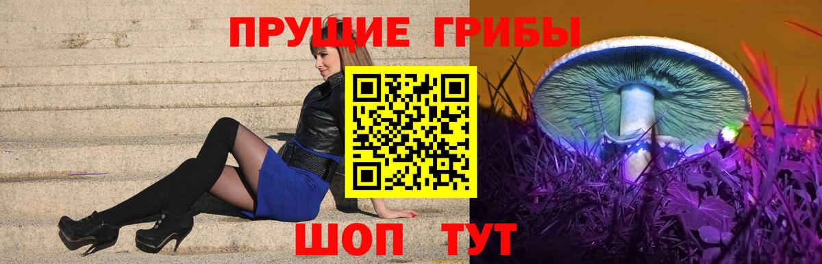 Псилоцибиновые грибы Magic Shrooms Севастополь