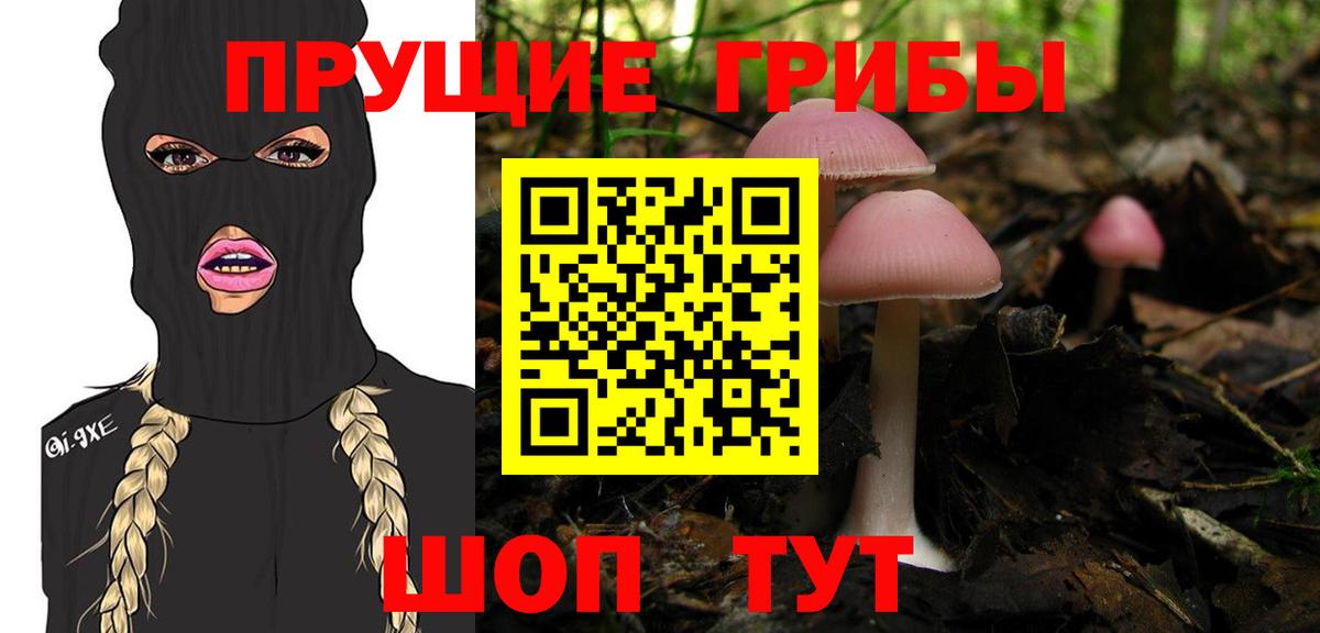 Псилоцибиновые грибы прущие грибы Севастополь